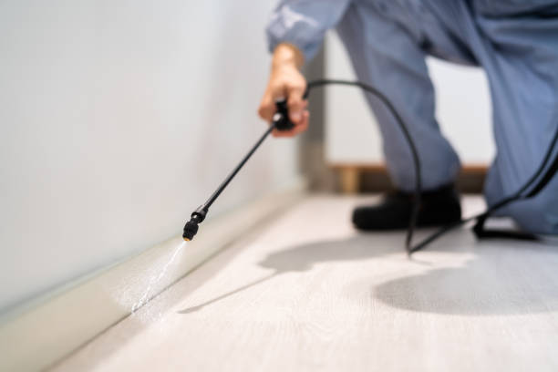 Licensed Pest Control service in Palouse, WA - Show Me Pest Control